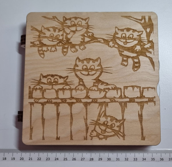Perlenbox - Buch - Freche Katzen